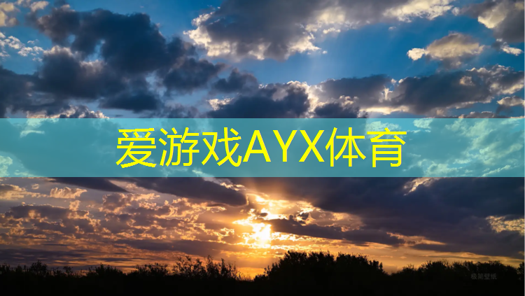 爱游戏ayx,幸福共振：双人秋千带你进入爱的律动。